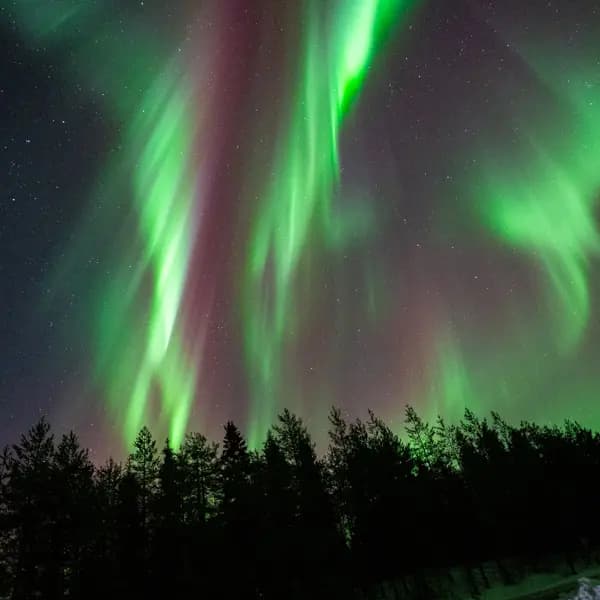 Noche de Auroras Boreales